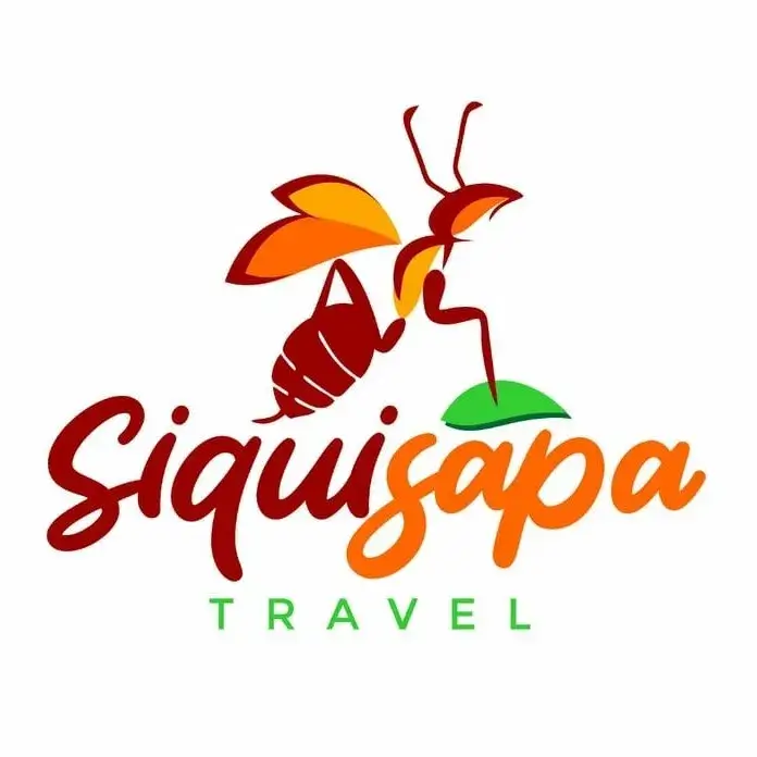 241228555 1293575434411881 6872071447497511220 n 7 11zon